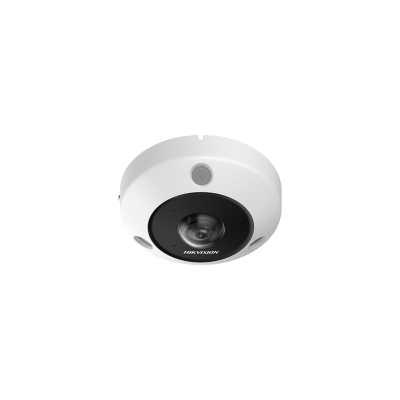 Fisheye IP 6 Megapixel / 180° - 360° / Dewarping / Heat Map / HEOP 2.0