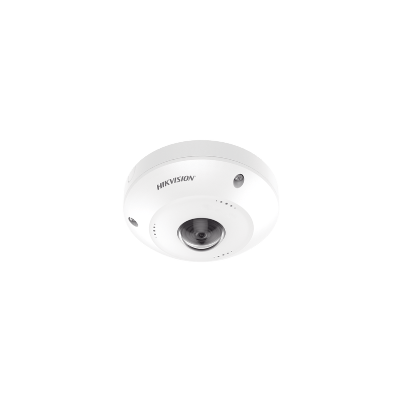 Fisheye IP 4 Megapixel / Panorámica 180° - 360° / Exterior IP67 / IK10