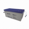 Batería 12V  200 Ah / AGM-VRLA Ciclado Profundo / Uso en Aplicaciones
