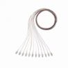 Kit de 12 Pigtails con Conector LC, Multimodo 50/125 OM4, 900um, de 1