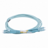 Jumper de Fibra Óptica Multimodo OM4 50/125 LC-LC OFNR (Riser), 2.0 mm