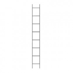Escalerilla de Ascenso de 6 Metros (20 Pies) para Torres Tubulares SSV