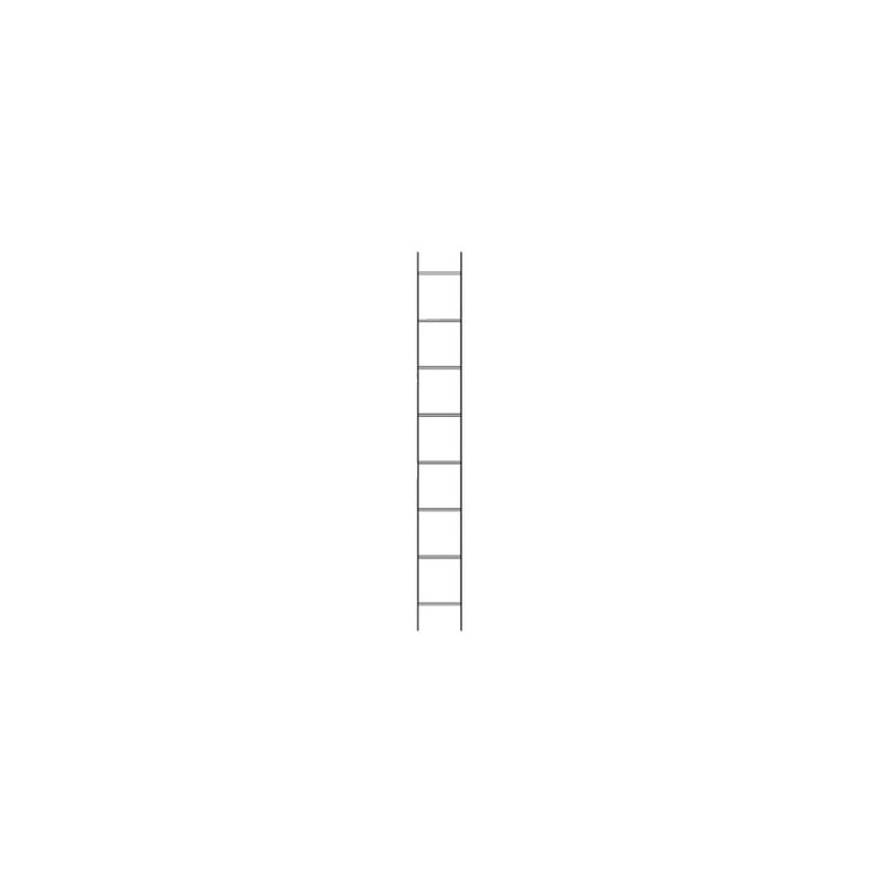 Escalerilla de Ascenso de 6 Metros (20 Pies) para Torres Tubulares SSV