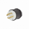 Clavija con Bloqueo de Media Vuelta Industrial 30 A 250 V CA / 3 Polos
