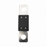 Mega Fuse 100A / 32V