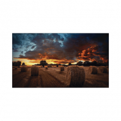 Pantalla Profesional LED de 55 para Video Wall, Full HD (1080p), HDMI/