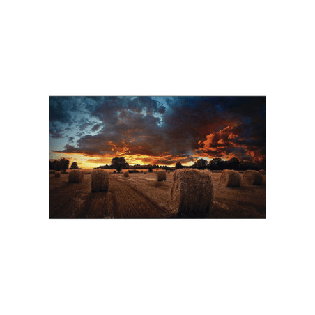 Pantalla Profesional LED de 55 para Video Wall, Full HD (1080p), HDMI/