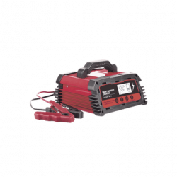Cargador de Baterías / 12 o 24 Vcc / hasta 250 Ah / 25 A / Display LCD