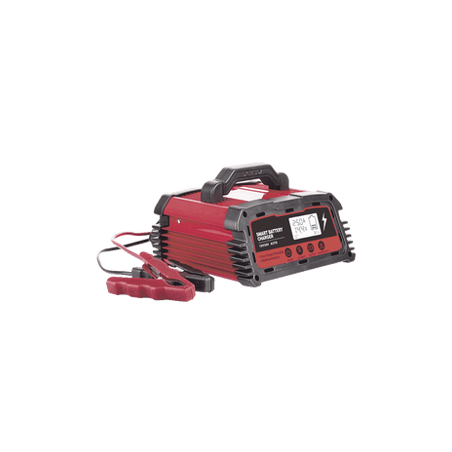 Cargador de Baterías / 12 o 24 Vcc / hasta 250 Ah / 25 A / Display LCD