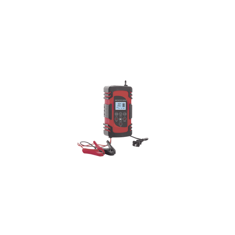 Cargador de Baterías / 12 o 24 Vcc / hasta 40 Ah / 2, 4 o 6 A / Displa