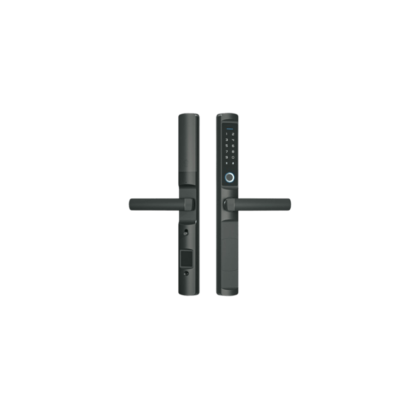 Cerradura inteligente inalambrica ZigBee. IP65