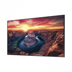 Pantalla Profesional LED de 65, UHD 4K (3840x2160p), Entradas de Video