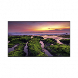 Pantalla Profesional LED de 65, UHD 4K (3840x2160p) / Entradas de Vide