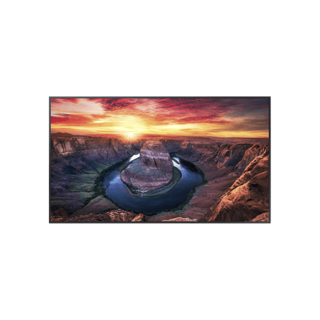 Pantalla Profesional LED de 65, UHD 4K (3840x2160p), Entradas de Video