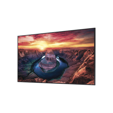 Pantalla Profesional LED de 43, UHD 4K (3840x2160p), Entradas de Video