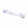 Plug RJ45 Cat6, Para Cable UTP de Calibre 23-24 AWG, Chapado en Oro de