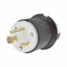 Clavija Industrial con Bloqueo de Media Vuelta / 30 A 125 V CA / 2 Pol