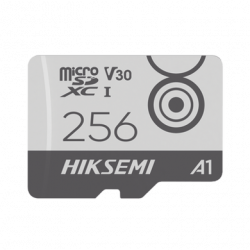 Memoria MicroSD / Clase 10 de 256 GB / Especializada Para Videovigilan