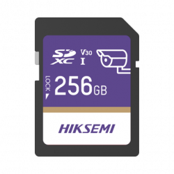 Memoria SD Clase 10 de 256 GB / Especializada Para Videovigilancia