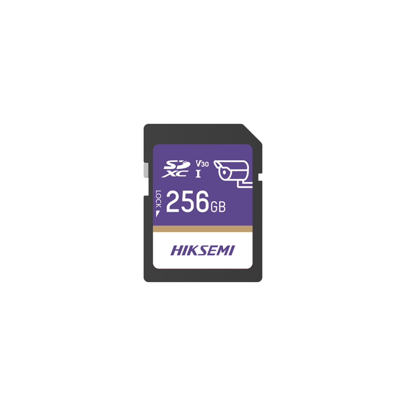 Memoria SD Clase 10 de 256 GB / Especializada Para Videovigilancia
