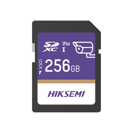 Memoria SD Clase 10 de 256 GB / Especializada Para Videovigilancia