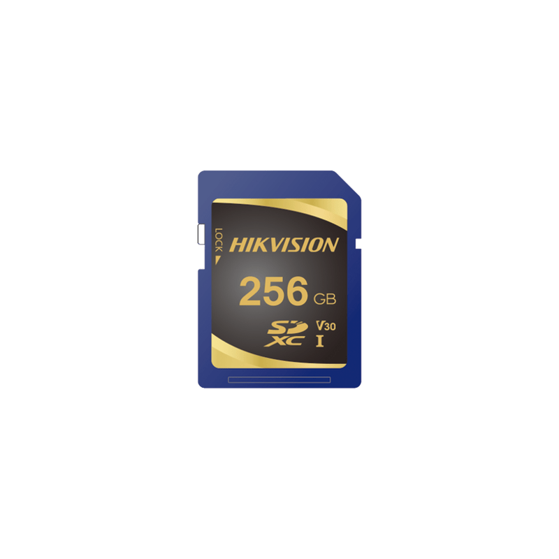 Memoria SD Clase 10 de 256 GB / Especializada Para Videovigilancia